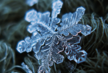 clipart:3m2q5rdkzfm= snowflakes