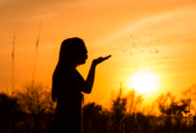 clipart:08s0y8uj6n8= silhouette