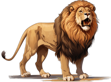 clipart:5xs5e-_r0we= lion