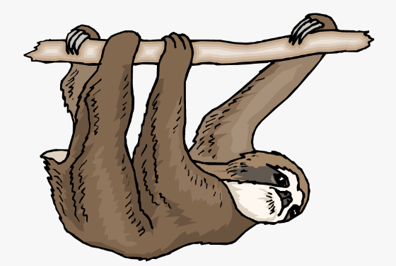 Clipart:93pdvfpkcxa= Sloth