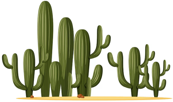 Clipart:39ylbqwjxos= Cactus - carla diab