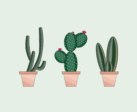 Clipart:39ylbqwjxos= Cactus