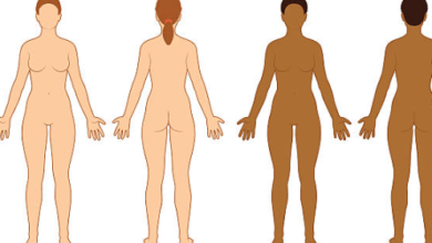 Female:_Lx0kbbdk3q= Body Outline