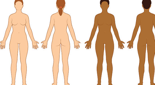 Female:_Lx0kbbdk3q= Body Outline