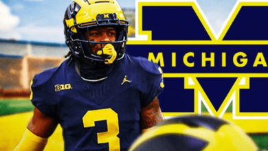 Logo:34nudidlysi= Michigan Football