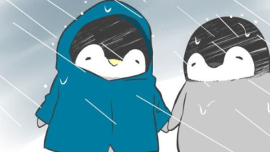 Anime:77ddsm9bsp0= Cute:77ddsm9bsp0= Penguin