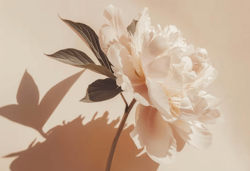 Aesthetic:3gvevbhxmga= Flowers Wallpaper