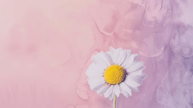 Aesthetic:3gvevbhxmga= Flowers Wallpaper