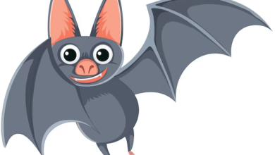 Clipart:Elapzvbicei= Bat