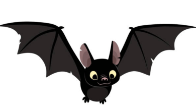 Clipart:H80clp349va= Bat