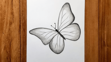 Drawing:5dlmdowxula= Art:G0stygfoby4= Butterfly