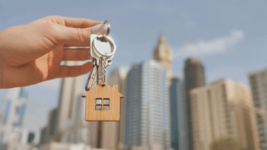 A Comprehensive Guide to Owning Property in Dubai as an Expert