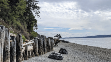 Camano Island in Washington