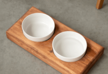 Beautifully Ushered Ceramic Bowls for Dogs with Stands