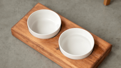 Beautifully Ushered Ceramic Bowls for Dogs with Stands