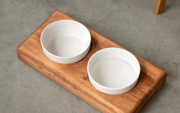 Beautifully Ushered Ceramic Bowls for Dogs with Stands