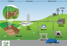 Exploring The Role Of Microorganisms In Methane Generation In Landfills