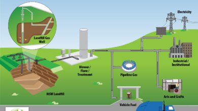 Exploring The Role Of Microorganisms In Methane Generation In Landfills