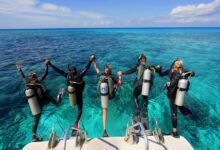 Diving Holidays in the Maldives