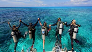 Diving Holidays in the Maldives