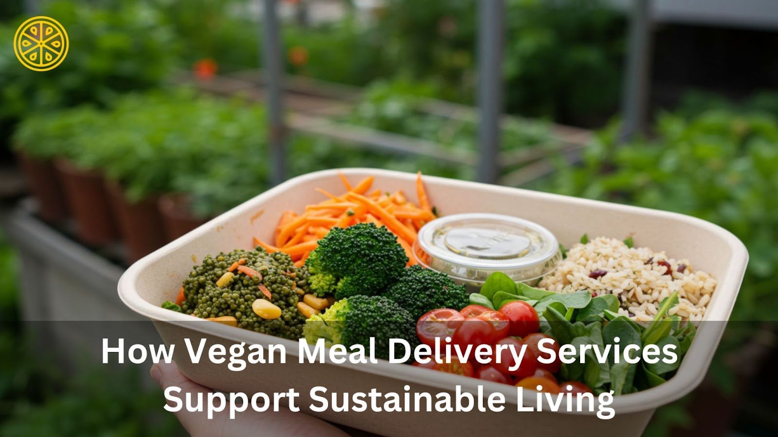 How Vegan Meal Delivery Services Support Sustainable Living - carla diab