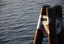 mozillad5 2f5 installation guide