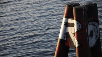 mozillad5 2f5 installation guide