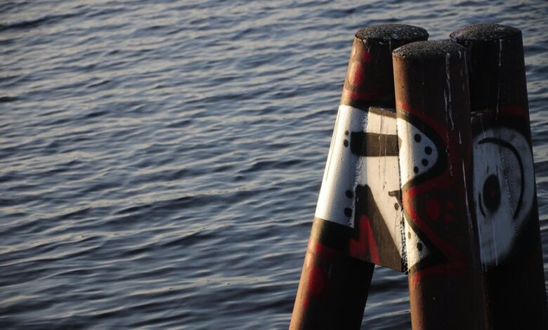 mozillad5 2f5 installation guide