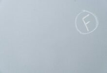 enterprise performance assessment report