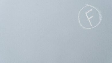 enterprise performance assessment report