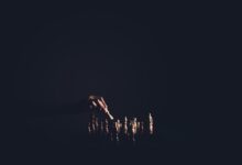 market analysis and trends