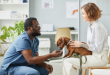 How Veterinary Hospitals Address Behavioral Health Issues