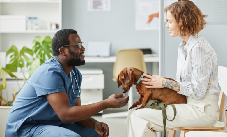 How Veterinary Hospitals Address Behavioral Health Issues