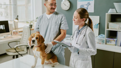 3 Ways Urgent Care Helps Pet Owners Make Faster Decisions