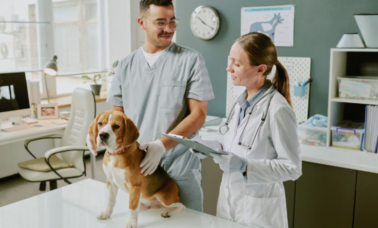 3 Ways Urgent Care Helps Pet Owners Make Faster Decisions