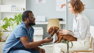 4 Signs Your Dog Needs Immediate Animal Hospital Attention