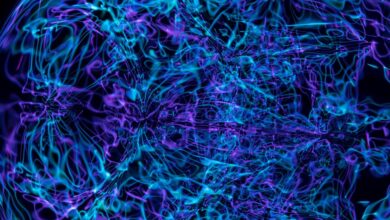 apex beam neural pulse