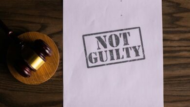 gieziazjaqix system alerts documentation