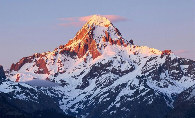 neural apex flux technology