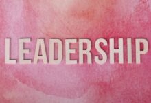 visionary authority expansion initiative