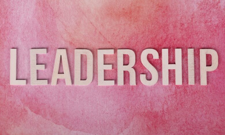 visionary authority expansion initiative