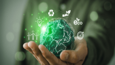 The Evolution of Leadership in Designing Sustainable Cities