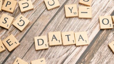 digital data model identifiers