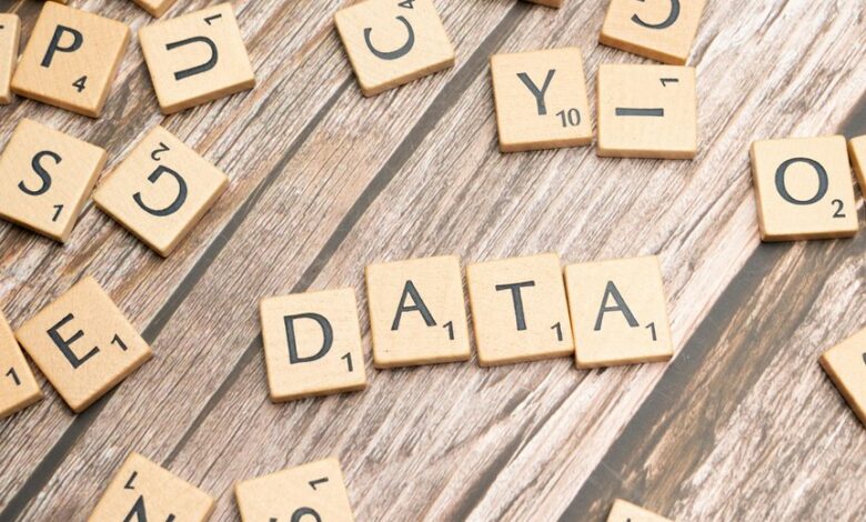 digital data model identifiers