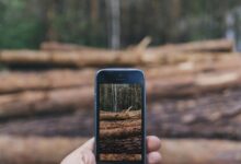 phone activity logs multiple ids topics