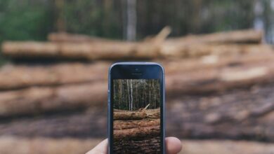 phone activity logs multiple ids topics