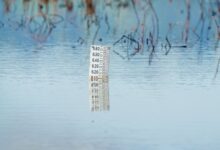 advanced monitoring classification identifiers