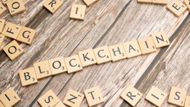 cyber network trace ledger ids