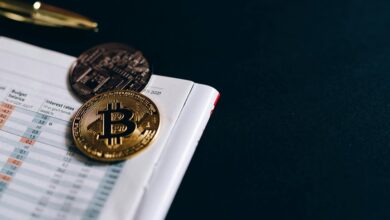 digital system integrity ledger ids