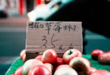 encoded multilingual data review summary